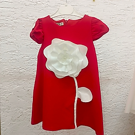 Kırmızı Gül elbise