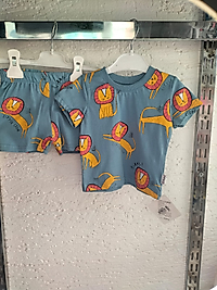 Aslan Baskılı Takım