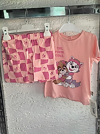 Paw Patrol Pembe Takım